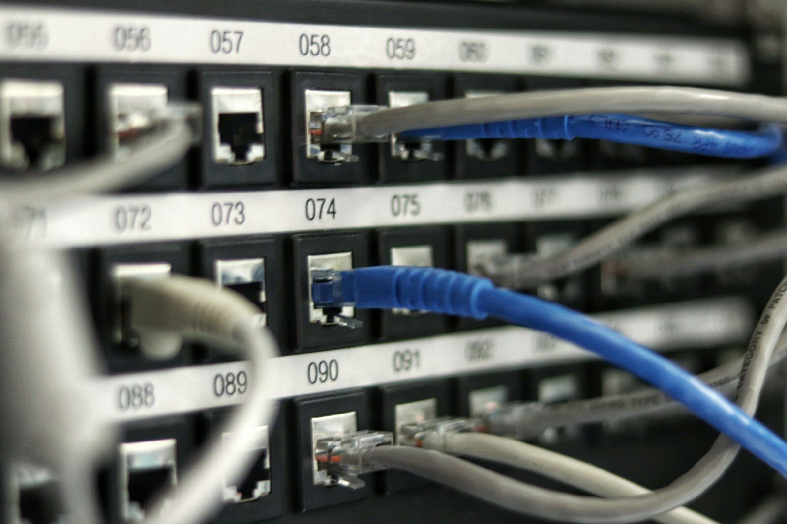 Network patch panel with dense cabling, the kind of infrastructure covered in network penetration testing